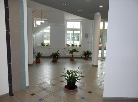 Pronájem kanceláře, 318 m²