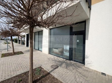 Prodej obchodní prostory, 73 m²