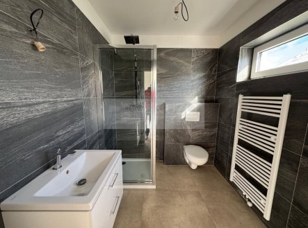 Pronájem domu/vily, 165 m²
