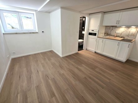 Pronájem bytu, 1+kk, 16 m²
