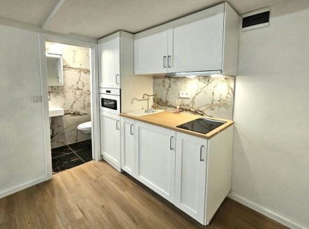 Pronájem bytu, 1+kk, 16 m²