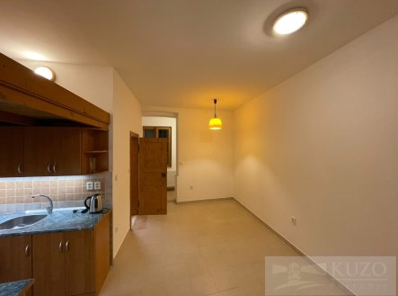 Pronájem bytu, 1+kk, 30 m²