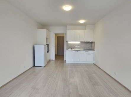Pronájem bytu, 1+kk, 38 m²