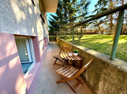 Pronájem bytu, 1+kk, 16 m²