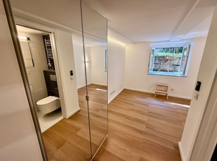 Pronájem bytu, 1+kk, 16 m²
