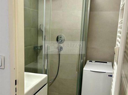 Pronájem bytu, jiný, 15 m²