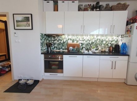 Pronájem bytu, 2+kk, 65 m²