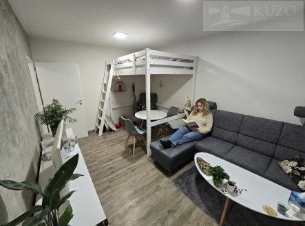 Pronájem bytu, 1+kk, 28 m²