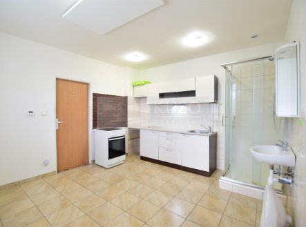 Pronájem bytu, 1+1, 37 m²