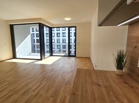 Pronájem bytu, 1+kk, 53 m²