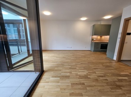Pronájem bytu, 1+kk, 53 m²