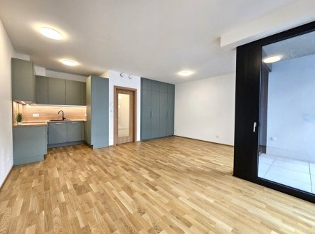 Pronájem bytu, 1+kk, 53 m²
