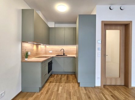 Pronájem bytu, 1+kk, 53 m²