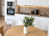 Pronájem bytu, 1+kk, 32 m²