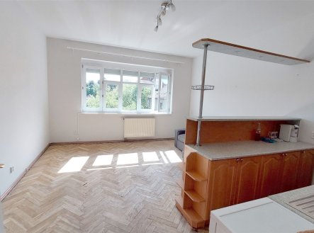 Prodej bytu, 2+kk, 54 m²