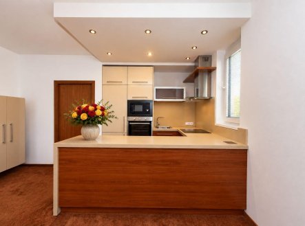 Pronájem bytu, 2+kk, 56,6 m²