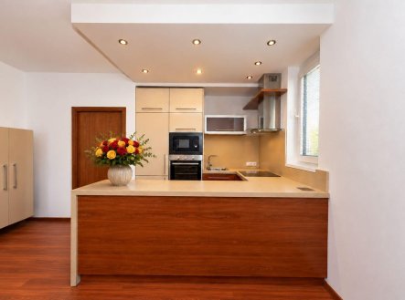 Pronájem bytu, 2+kk, 56,6 m²