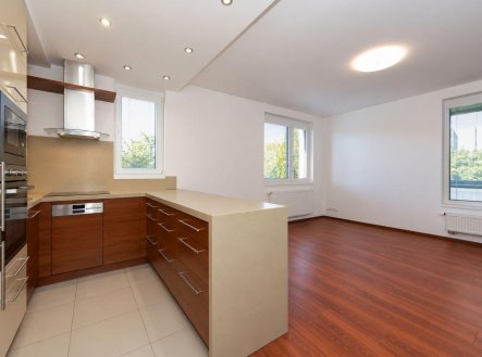 Pronájem bytu, 2+kk, 56,6 m²