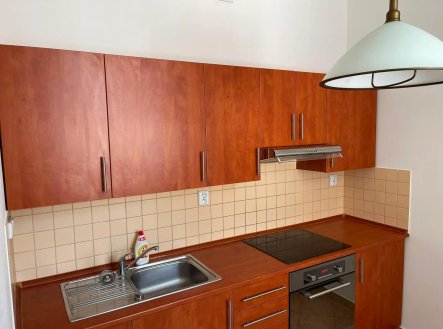 Pronájem bytu, 1+1, 46 m²