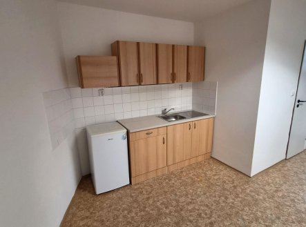 Pronájem bytu, 1+1, 49 m²