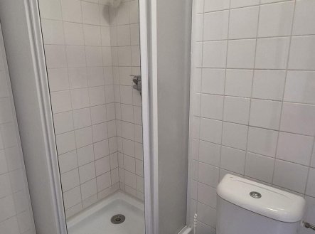 Pronájem bytu, 1+1, 49 m²