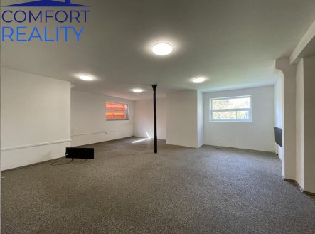 Pronájem obchodní prostory, 220 m²