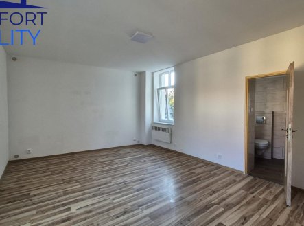 Pronájem bytu, 1+1, 45 m²