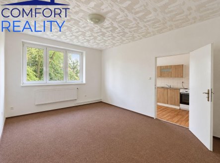 Pronájem bytu, 1+1, 39 m²