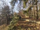 Prodej pozemku pro bydlení, 1 166 m²
