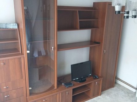 Pronájem bytu, 1+kk, 16 m²