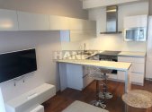 Pronájem bytu, 1+kk, 34 m²