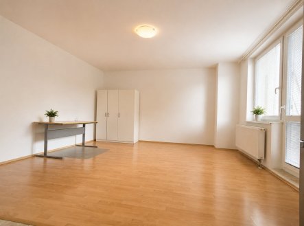 Pronájem bytu, 1+kk, 48 m²