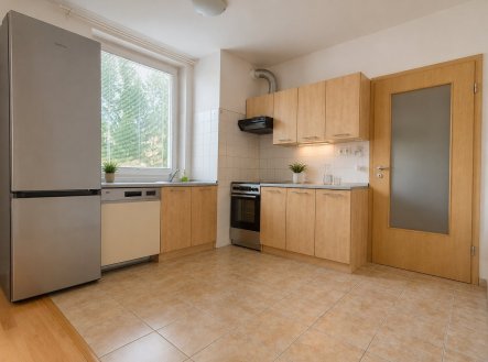 Pronájem bytu, 1+kk, 48 m²