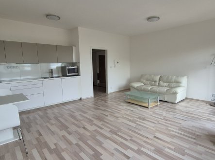 Pronájem bytu, 1+kk, 42 m²