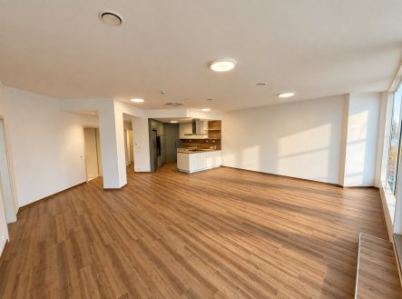 1 pronájem Cézava - pokoj s kk | Pronájem bytu, 2+kk, 165 m²