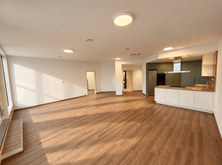 2 pronájem Cézava - pokoj s kk | Pronájem bytu, 2+kk, 165 m²