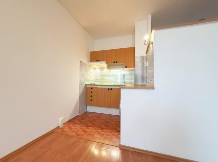 Pronájem bytu, 1+kk, 29 m²