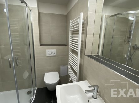 Pronájem bytu, 1+kk, 31 m²