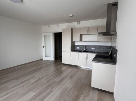 Pronájem bytu, 1+kk, 32 m²