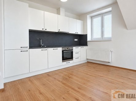 Pronájem bytu, 2+kk, 52 m²