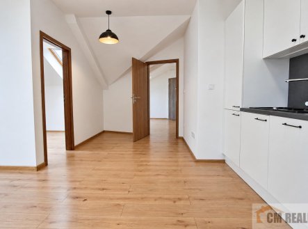 Pronájem bytu, 2+kk, 52 m²