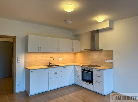 Pronájem bytu, 2+kk, 56 m²