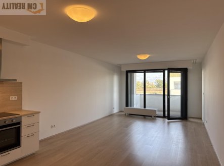 Pronájem bytu, 2+kk, 56 m²