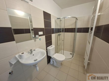 Pronájem bytu, 1+1, 30 m²