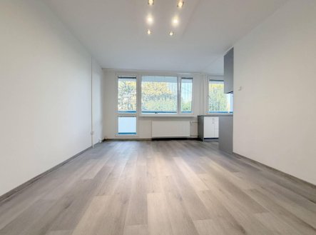 Pronájem bytu, 1+kk, 35 m²
