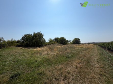 Prodej pozemku, ostatní, 2 593 m²