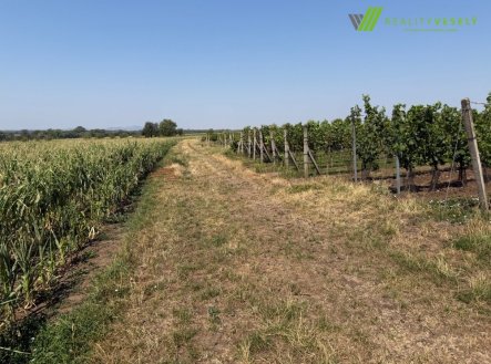 Prodej pozemku, ostatní, 2 593 m²