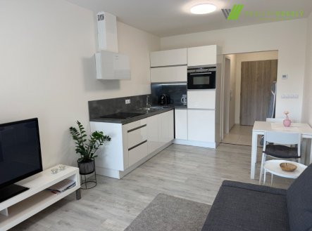 Pronájem bytu, 1+kk, 25 m²