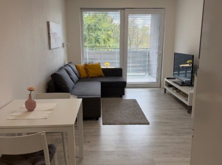 Pronájem bytu, 1+kk, 25 m²