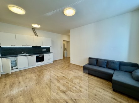 IMG_2832 | Pronájem bytu, 2+kk, 60 m²